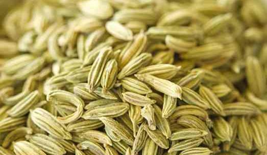 عکس رازیانه و زیره سبز