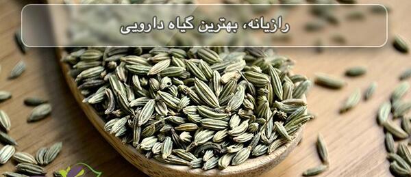 عکس رازیانه و زیره سبز