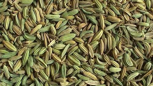 عکس رازیانه و زیره سبز