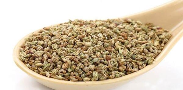 عکس رازیانه و زیره سبز