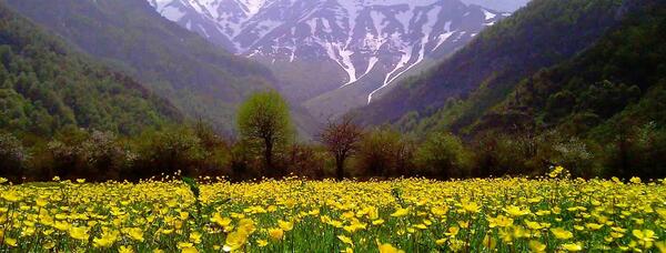عکس دیدنی رودسر