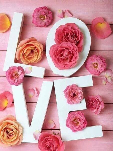 عکس گل رز فانتزی برای پروفایل