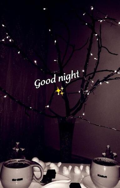 عکس شب فیک