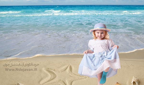 عکس بک گراند صدف دریایی