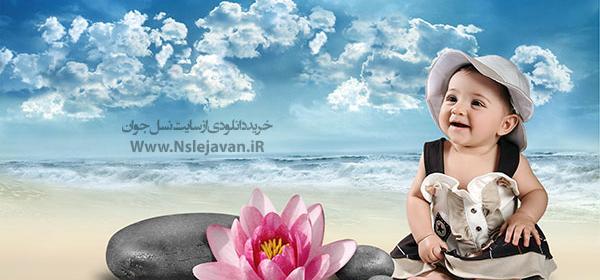 عکس بک گراند صدف دریایی