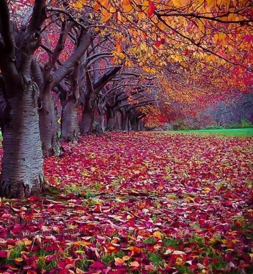عکس نوشته حال خراب حضرت پاییز مال من