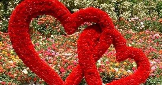 عکس قلبی عاشقانه گل