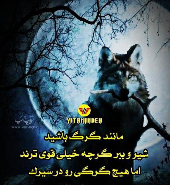 عکس وضعیت واتساپ گرگ