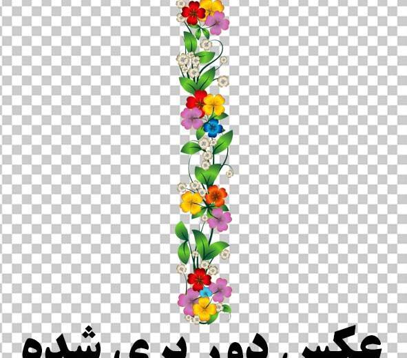 عکس دانلود وکتور گل