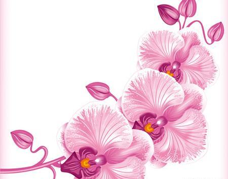 عکس دانلود وکتور گل