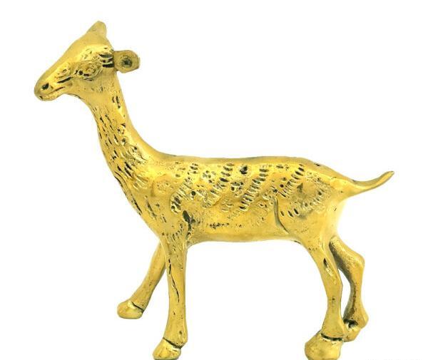 عکس آهو برنزی