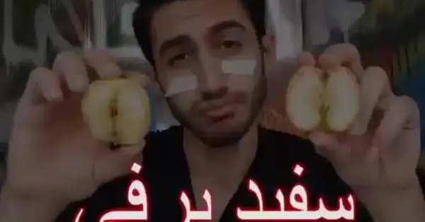 عکس ایده های احمقانه آرمان د فریک جدید