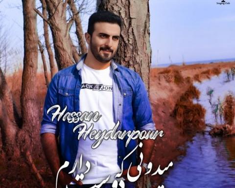عکس حسن حیدرپور