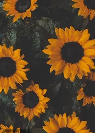 عکس بک گراند زرد دخترانه