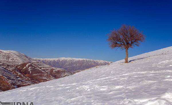 عکس از روستای زرشک قزوین