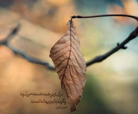 عکس پروفایل پاییز دلگیر