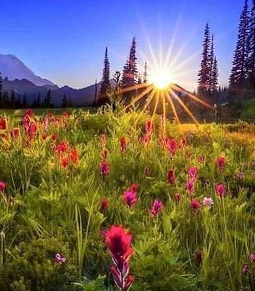 عکس منظره صبحگاهی