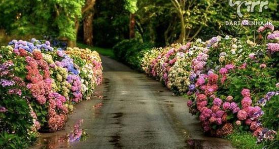 عکس های خیلی قشنگ