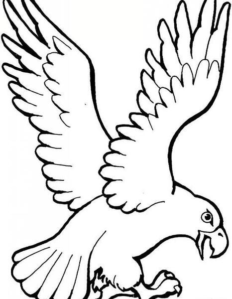 عکس نقاشی عقاب کودکانه