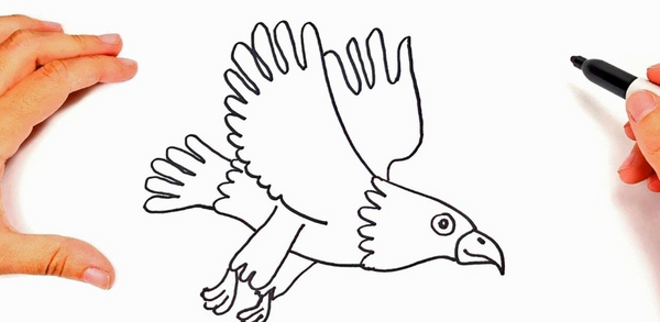 عکس نقاشی عقاب کودکانه
