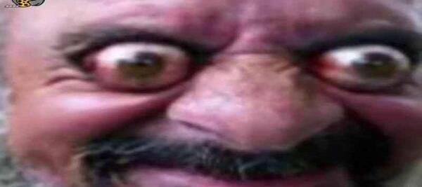 عکس ممد قلی عکس