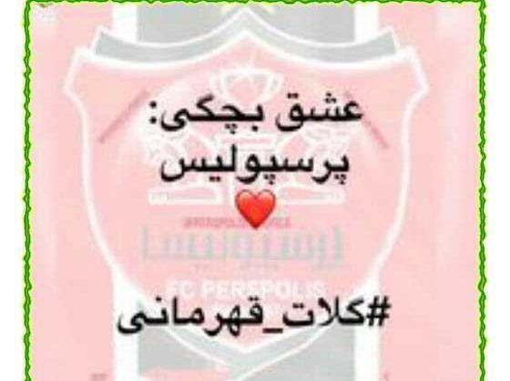 عکس برای استوری گلات پرسپولیس