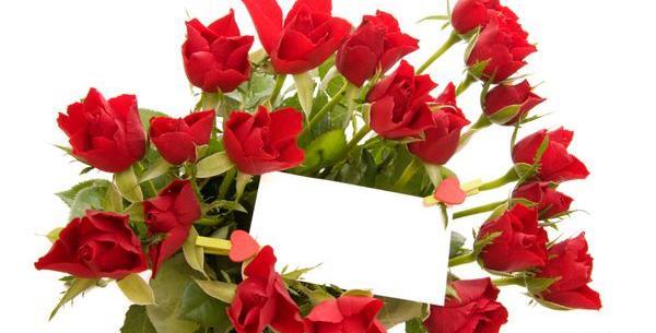 عکس گل وسط خالی