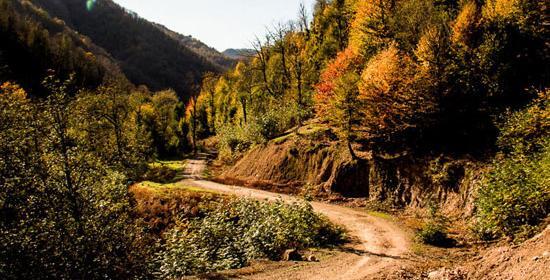 عکس پاییزی حیران