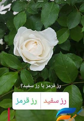 عکس نظرسنجی برای استوری
