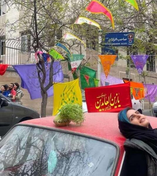 عکس های الناز شاکردوست سیزده بدر