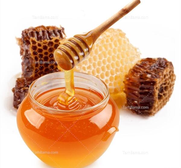 عکس دانلود وکتور ظرف عسل