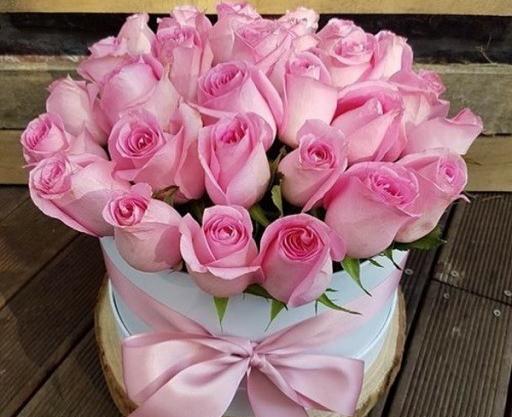 عکس گل دخترانه