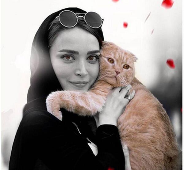 عکس خالی گربه