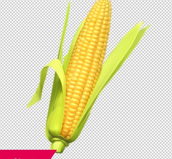عکس png ذرت