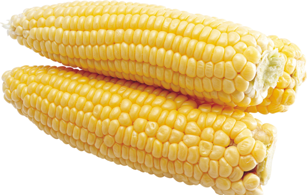 عکس png ذرت