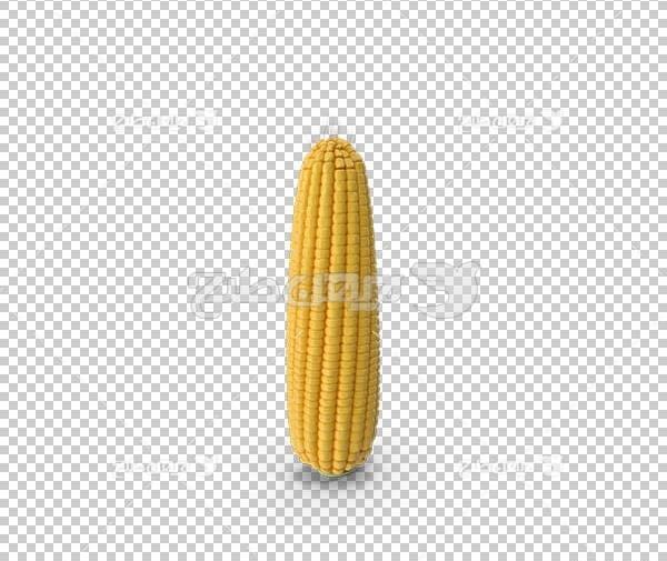 عکس png ذرت