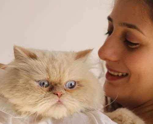 عکس های بازیگر آوا درویشی