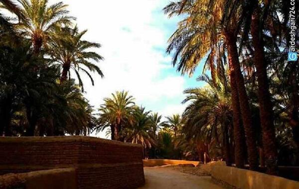 عکس شهر نهبندان