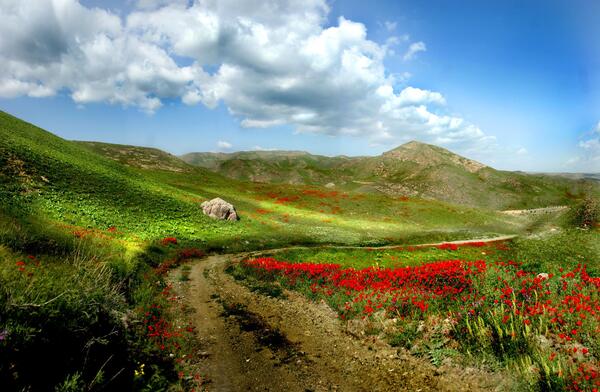 عکس روستا مشهد