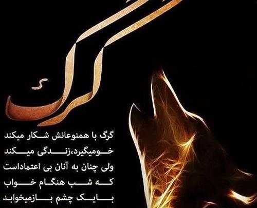 عکس پروفایل لوتی و مشتی