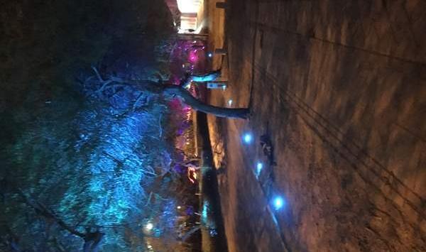 عکس پیاده روی در شب