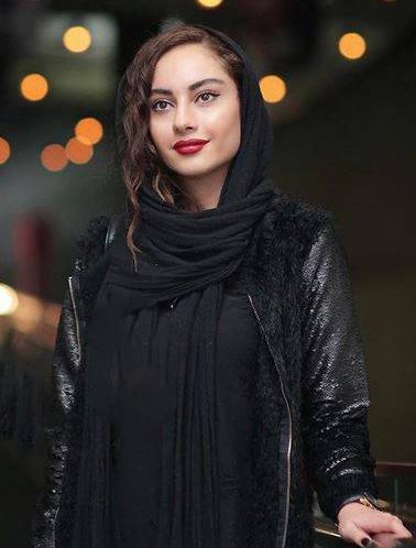 عکس ترلان پروانه در زمستان