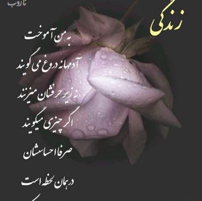عکس پروفایل تک لحظه ها