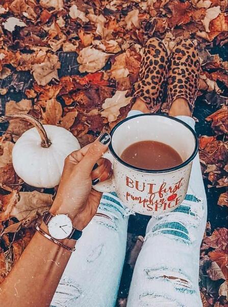 عکس پاییز چای