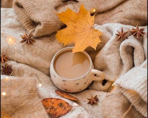 عکس پاییز چای