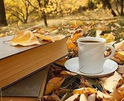 عکس پاییز چای