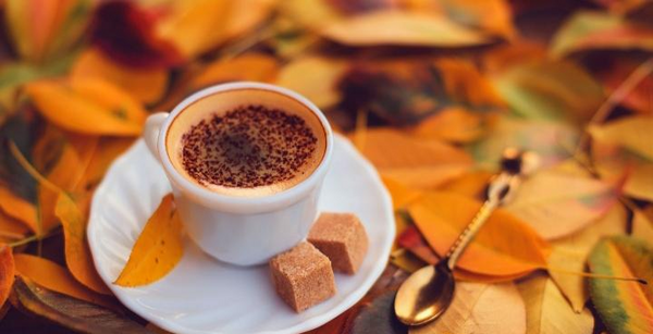 عکس پاییز چای