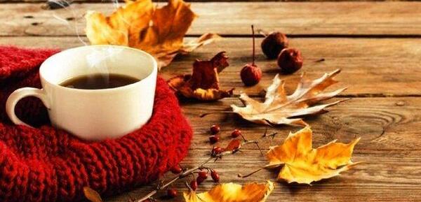 عکس پاییز چای