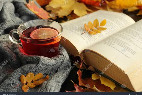 عکس پاییز چای