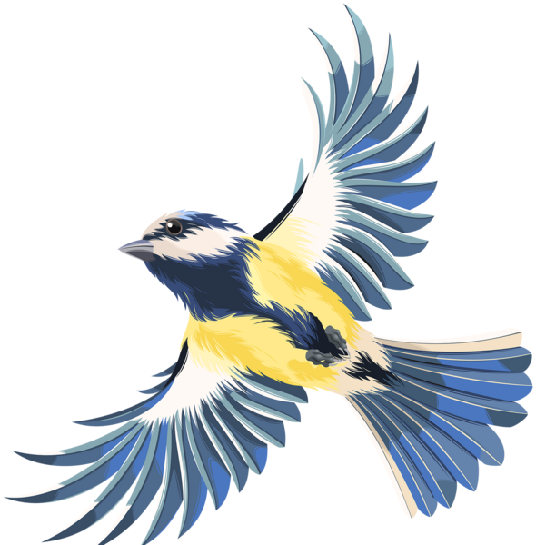 عکس png پرنده